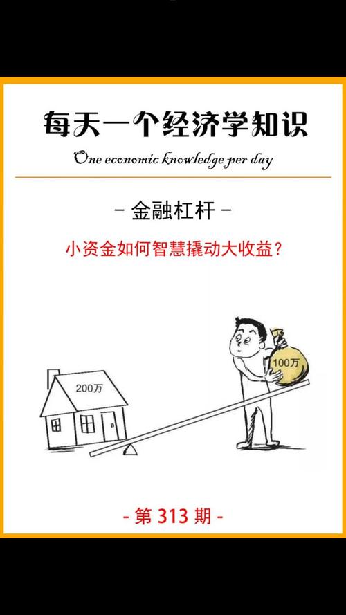 金融杠杆原理_什么是杠杆炒股_杠杆比例计算