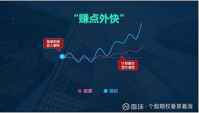 场外期权杠杆计算_股票杠杆倍数_场外期权虚值杠杆