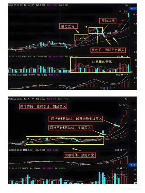 牛市下股票配资平台乱象丛生，飞乐乐等平台优缺点大揭秘