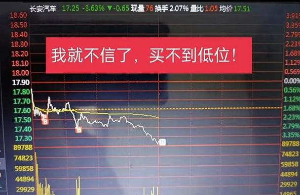 股票入门基础概念_炒股配资平台_股票新手避坑指南