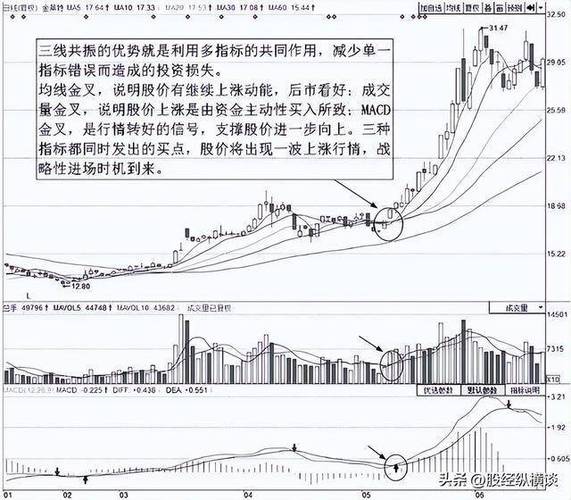 股票投资_资产配置策略_股票投资策略