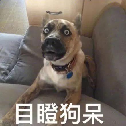 场外配资风险 高杠杆炒股后果 配资炒股监管政策_股票配资网站有哪些